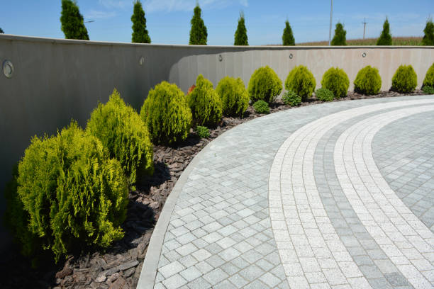 Reasons to Select Us for Your Driveway Paving Requirements in Birch Run, MI