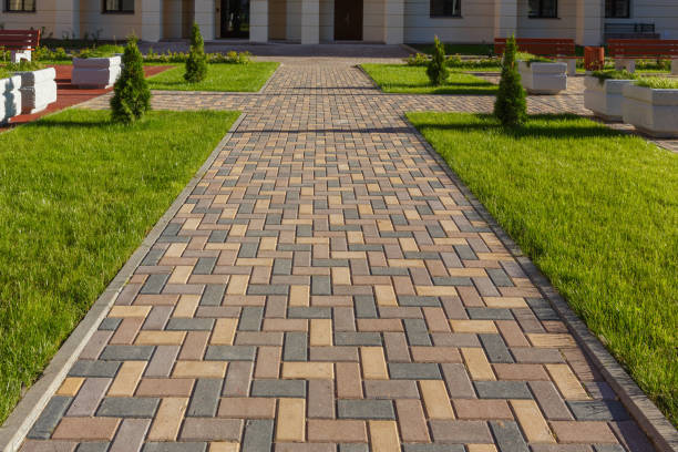 Best Residential Paver Driveway  in Birch Run, MI