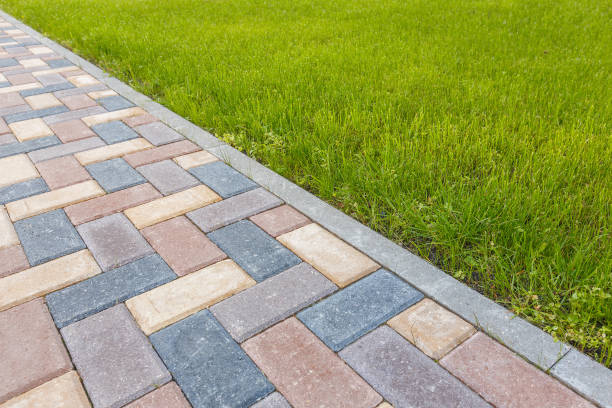 Best Driveway Pavers Contractor  in Birch Run, MI